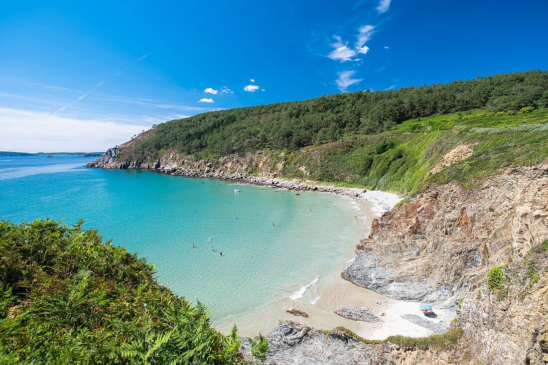 Frankreich, Finistere, Regionaler Naturpark Armorica, Halbinsel Crozon, Telgruc-sur-Mer, Bucht von Trez Bihan