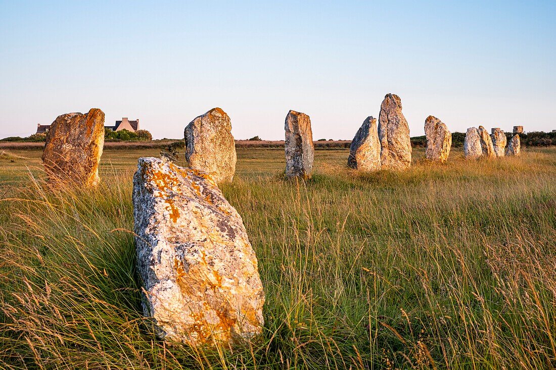 Frankreich, Finistere, Regionaler Naturpark Armorica, Halbinsel Crozon, Camaret-sur-Mer, Lagatjar Alignment oder Toulinguet Megalithic Alignment