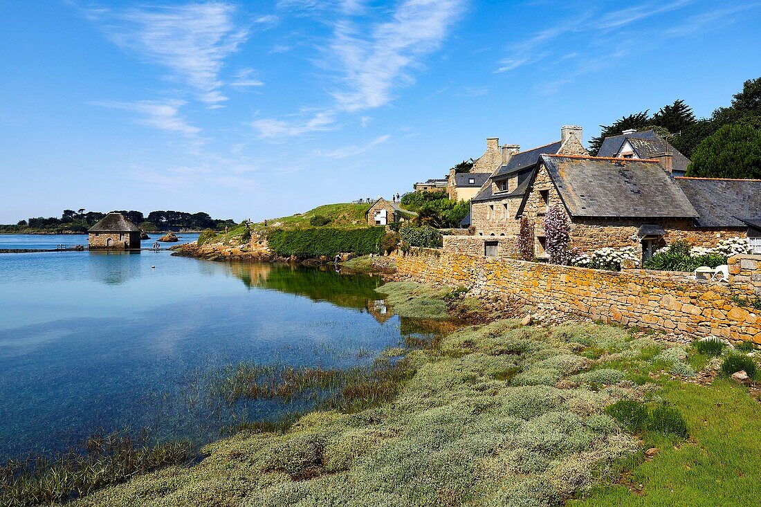 France, Cotes d'Armor, Ile de Brehat, houses along the Birlot pond, Birlot tide mill\n