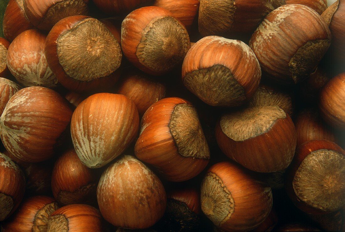 Whole hazelnuts (close-up)
