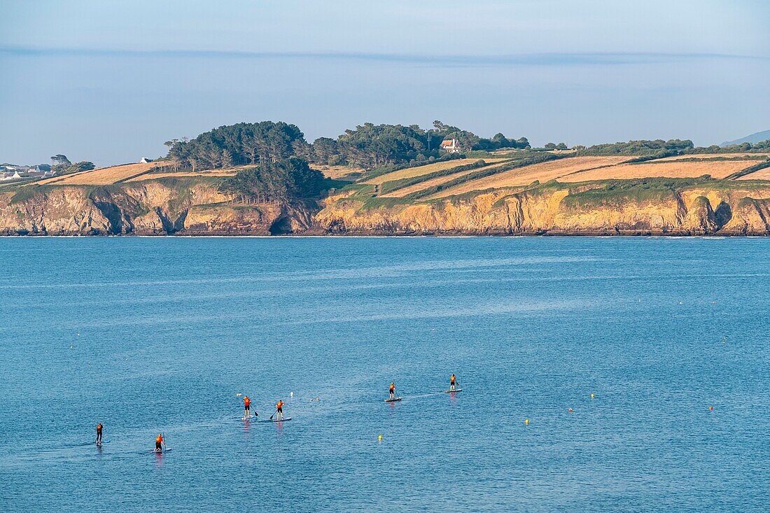 France, Finistere, Douarnenez, Stand up paddleboarding in Douarnenez Bay\n