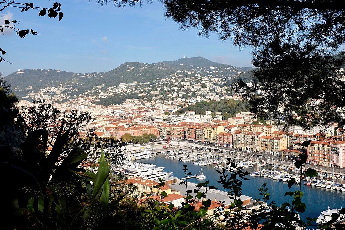 Frankreich, Alpes Maritimes, Nizza, von der UNESCO zum Weltkulturerbe erklärt, der alte Hafen oder Port Lympia von der Colline du Chateau (Schlossberg)
