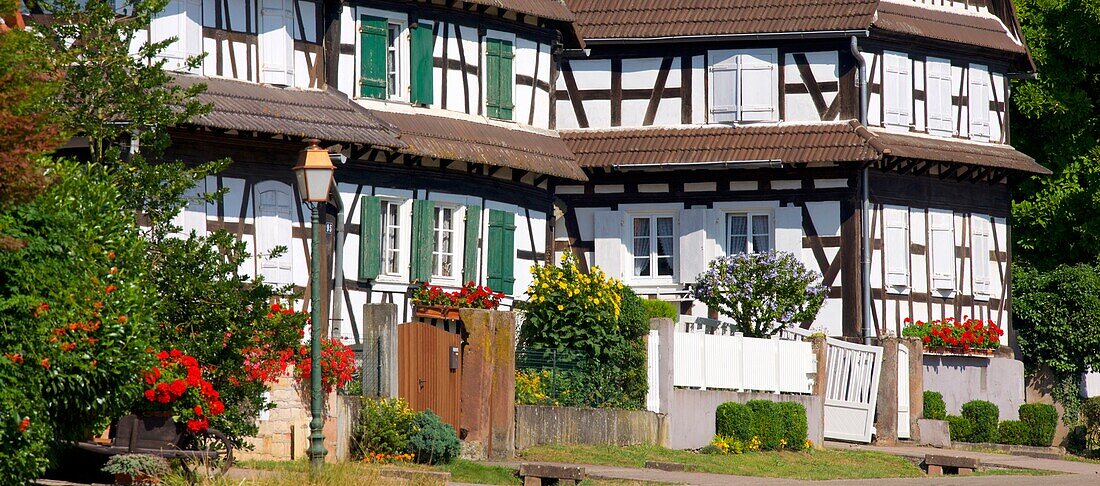 France, Bas Rhin, Seebach, traditional half-timbered houses of the Outre Foret (Northern Alsace)\n