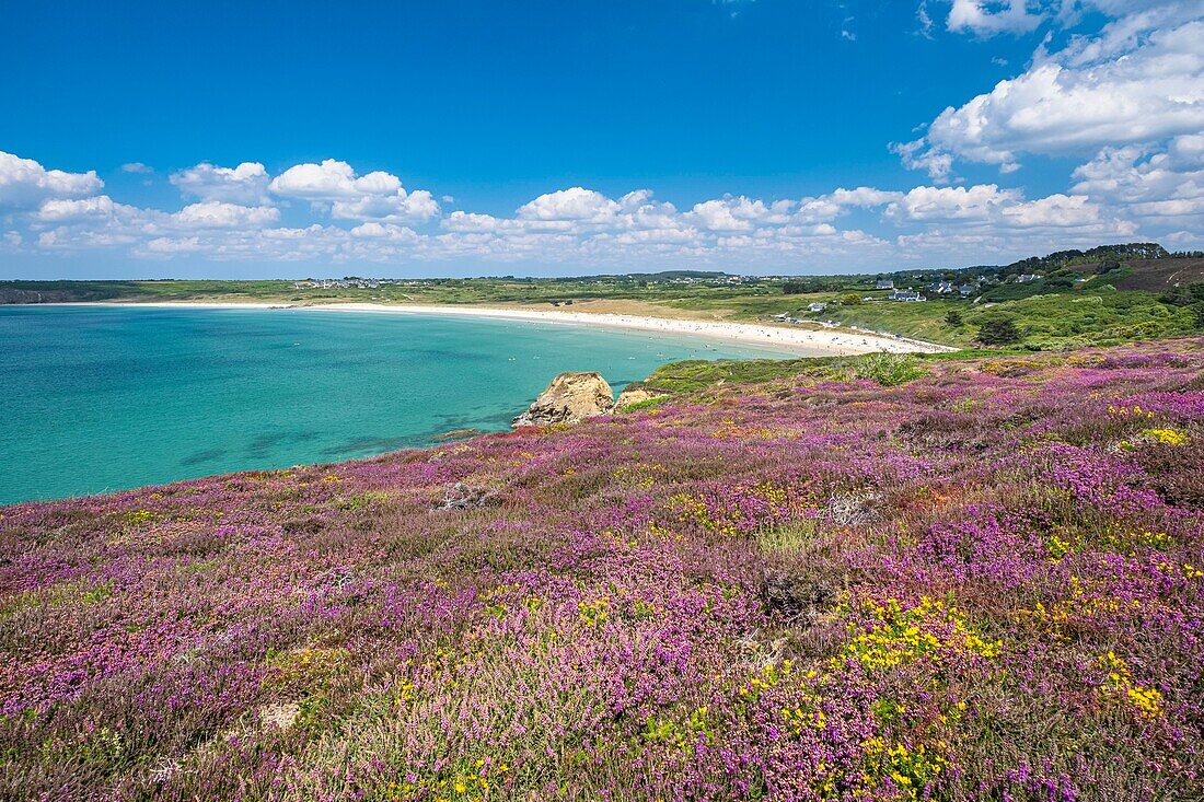 Frankreich, Finistere, Regionaler Naturpark Armorica, Halbinsel Crozon, Strände von Crozon, Kersiguenou und Goulien