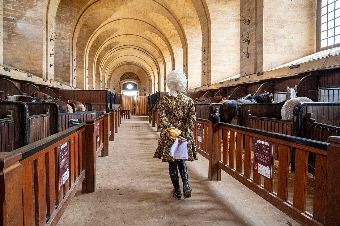 France, Oise, Chantilly, Chantilly Castle, the Great Stables, show for the Tercentenary: Once upon a time...the Great Stables, a horsewoman repeats the show\n