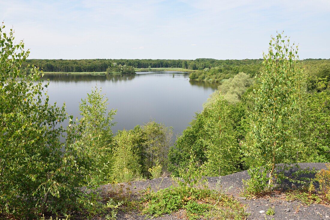 Frankreich, Nord, Raismes, Teich bei Goriaux, vom Terril aus gesehen 171