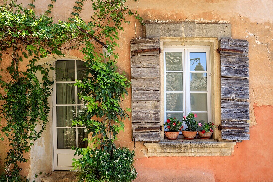 France, Vaucluse, Luberon Regional Natural Park, Joucas\n