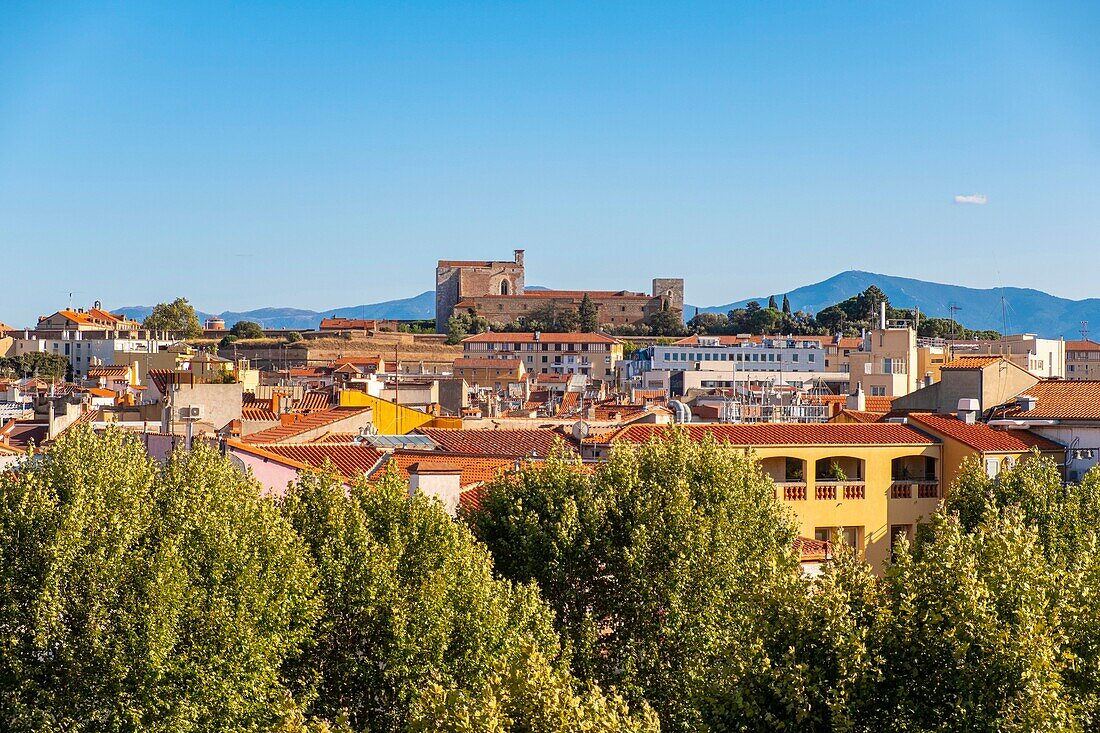 France, Pyrenees Orientales, Perpignan, view of the old town\n