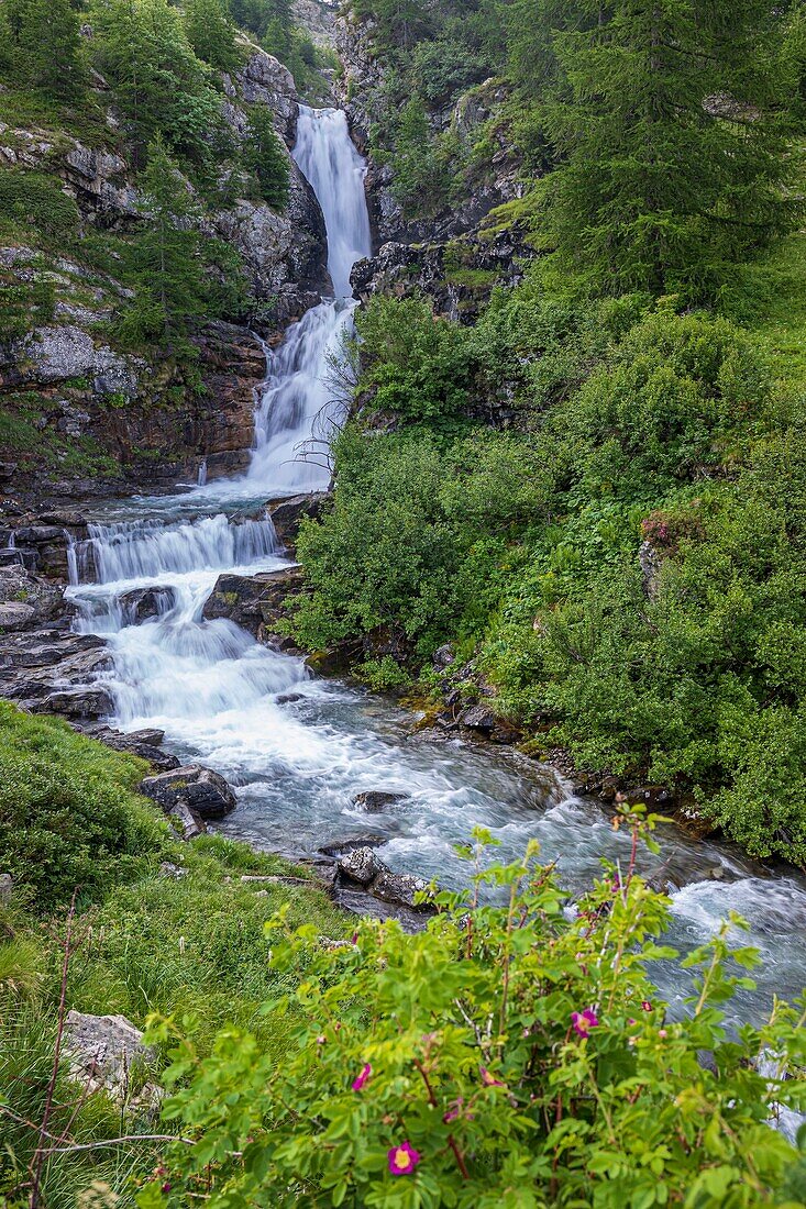 France, Hautes Alpes, Ecrins National Park, Champsaur, Drac Noir valley, Prapic, Saut du Laire waterfall on the Drac Noir torrent\n