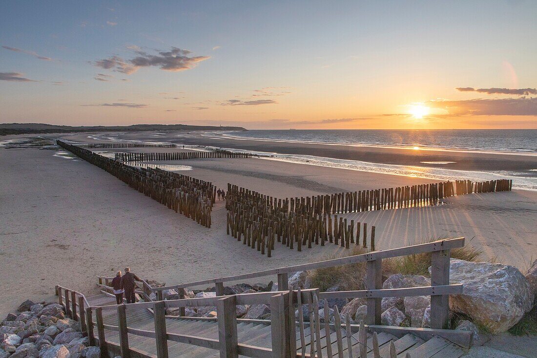 France, Pas de Calais, Wissant, breakwater stakes to slow the erosion of the coast\n