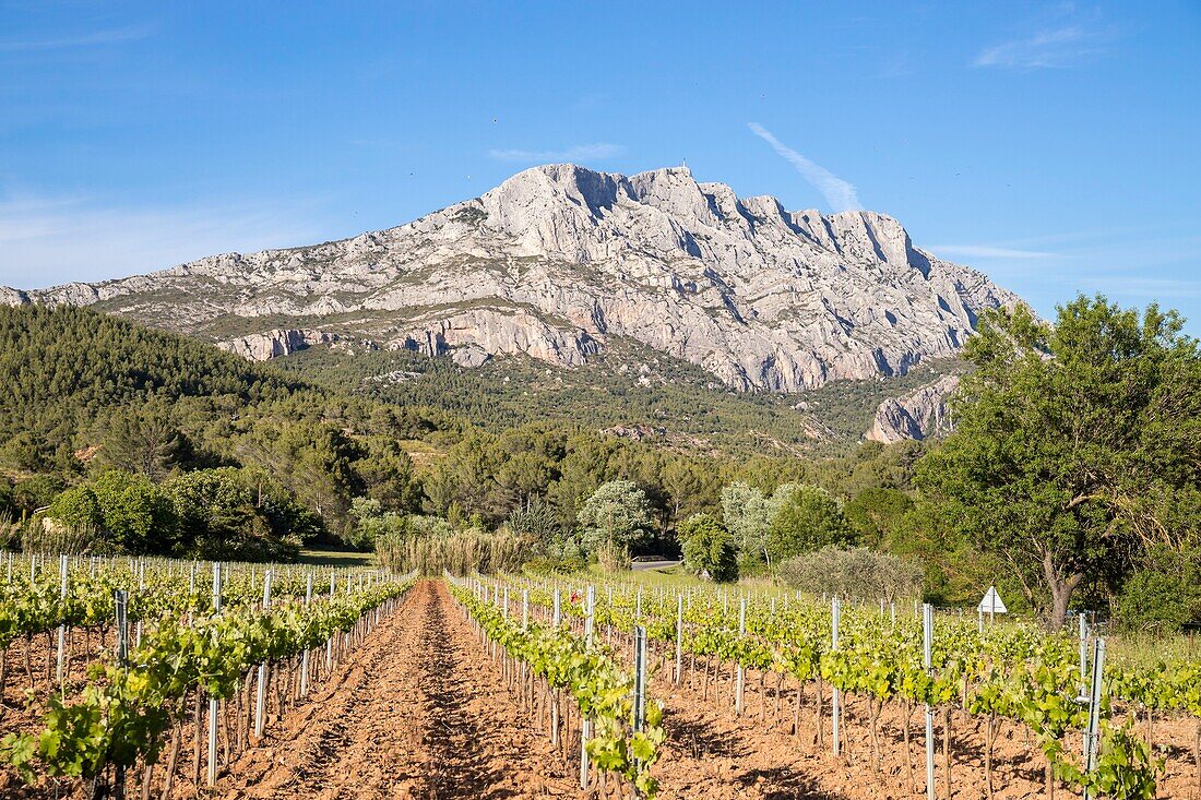 Frankreich, Bouches du Rhône, Aix-en-Provence, Grand Site Sainte-Victoire, Beaurecueil, Berg Sainte-Victoire