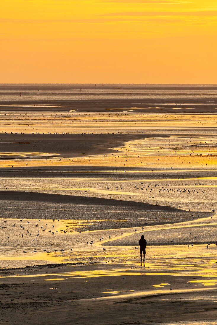 Frankreich, Somme, Somme-Bucht, Naturschutzgebiet der Somme-Bucht, Le Crotoy, Dämmerung am Strand von Le Crotoy an einem Sommerabend, während Touristen den Sonnenuntergang bewundern