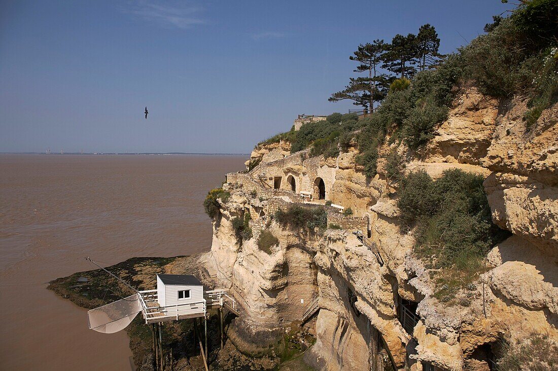 Frankreich, Charente Maritime, Meschers sur Gironde, Balkon der Flussmündung, die Felsen von Meschers von der Troglodytenstätte der Regulus-Höhlen aus