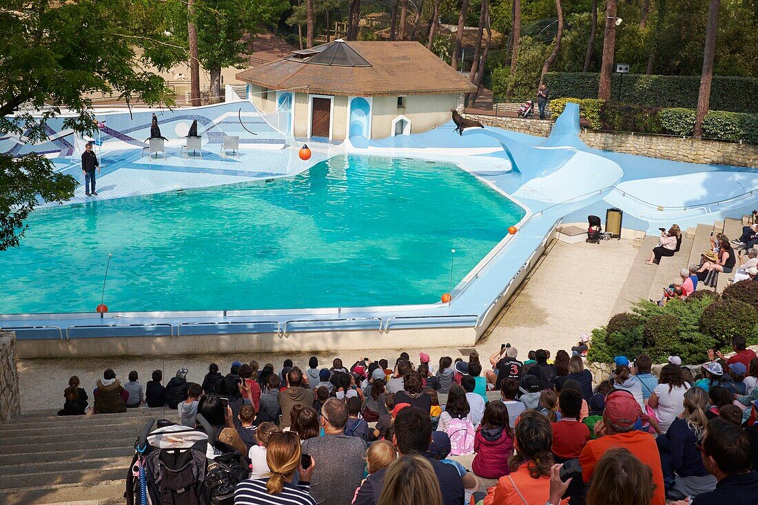 France, Charente Maritime, Les Mathes, La Palmyre zoo, the California sea lion show\n