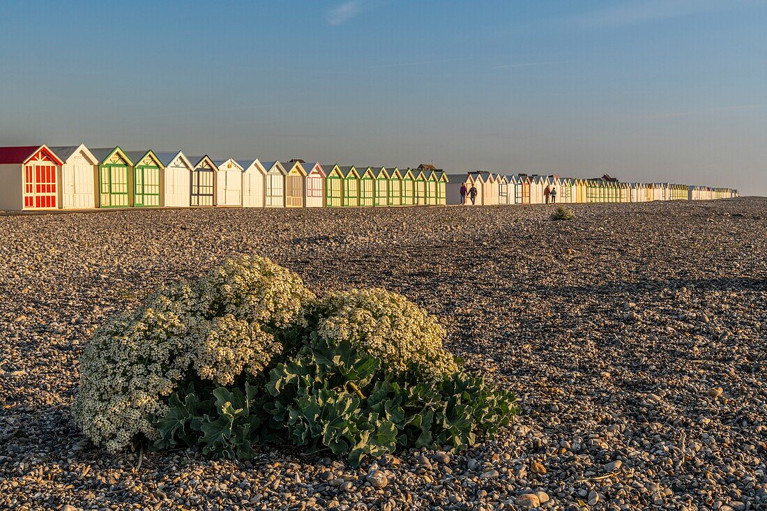 Frankreich, Somme, Cayeux sur Mer, Der Weg Bretter in Cayeux sur Mer ist der längste in Europa, es Sport seine bunten Strandkabinen mit evokativen Namen auf fast 2 km lang auf dem Kieselstrand