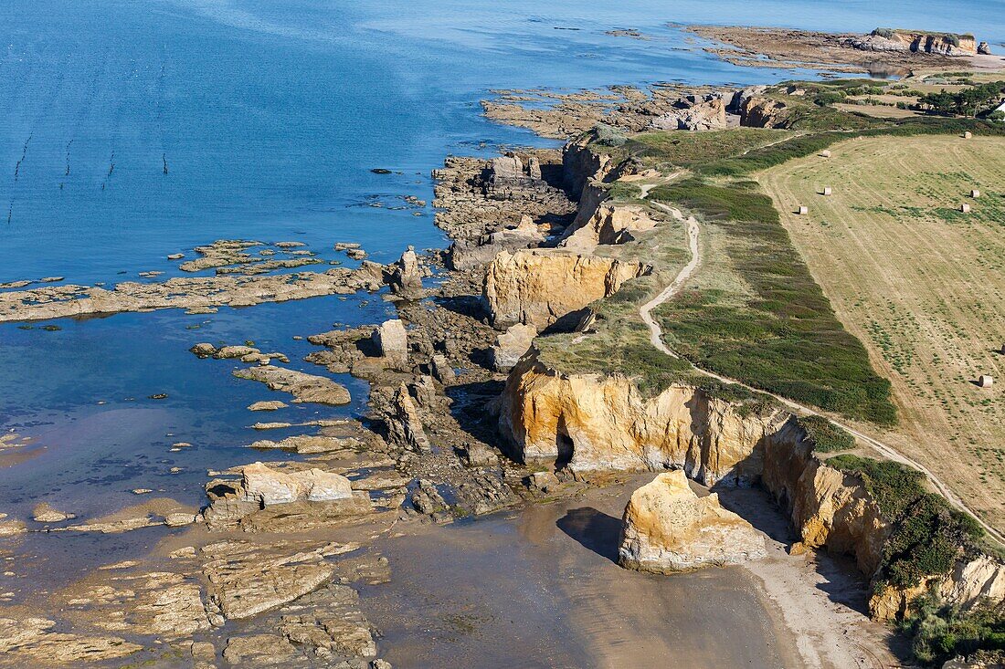 France, Morbihan, Penestin, Pointe du Goulumer cliffs (aerial view)\n