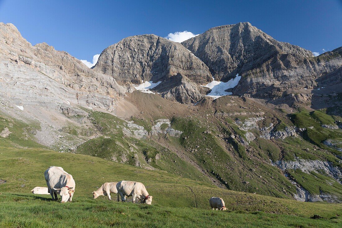 France, Hautes Pyrenees, Gavarnie, the Astazou peaks seen from Espuguettes mountain hut, UNESCO World Heritage Site\n