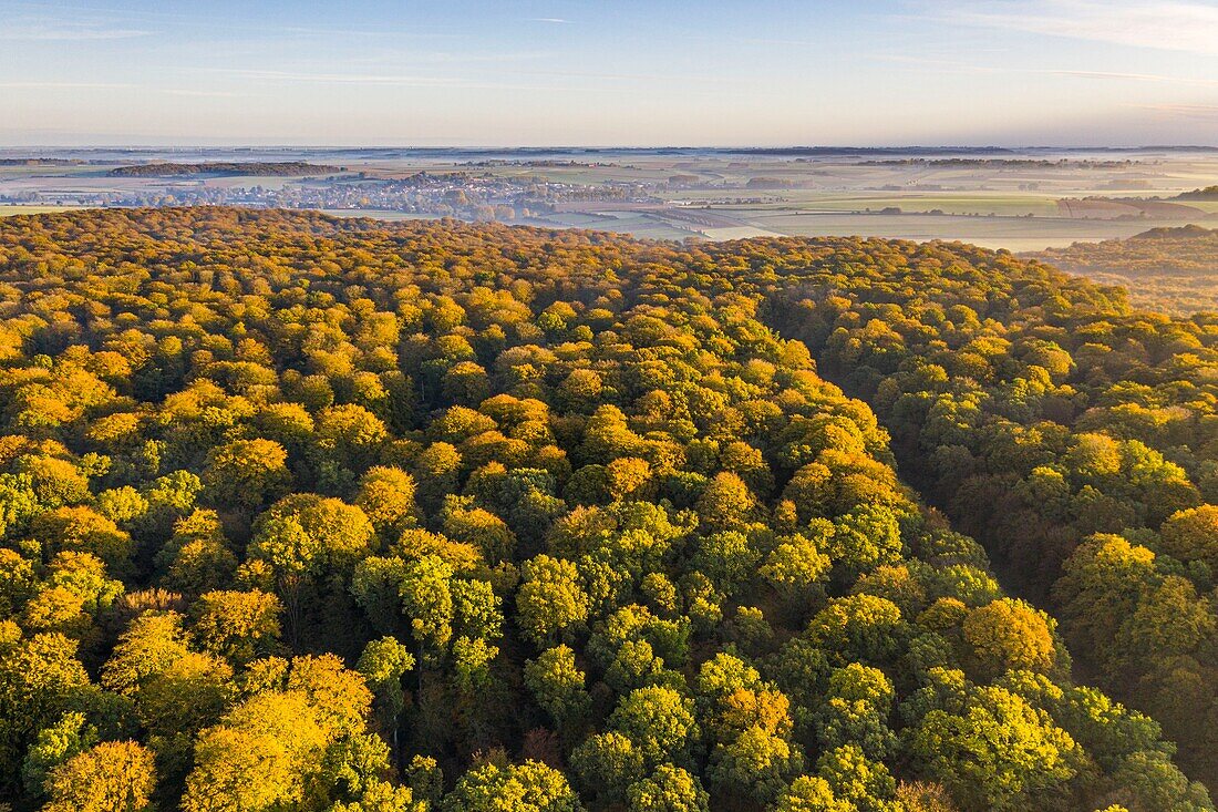 Frankreich, Somme, Crécy-en-Ponthieu, Der Wald von Crécy taucht im Herbst aus dem Morgennebel auf (Luftaufnahme)