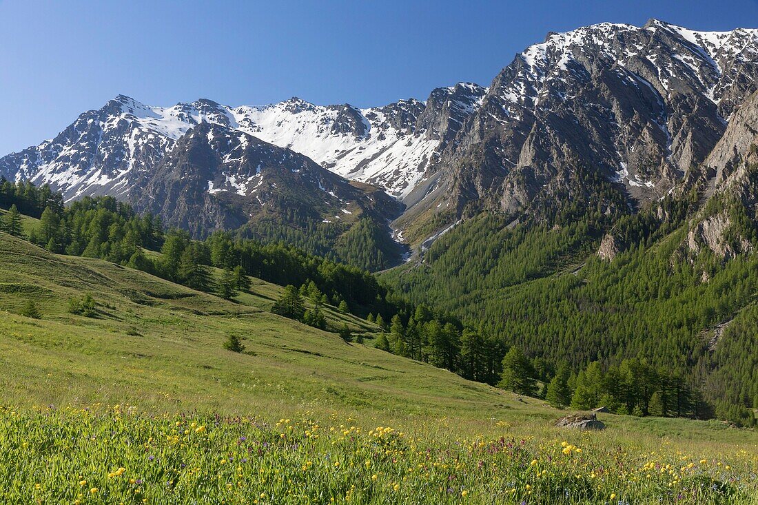 France, Hautes Alpes, Saint Veran, Queyras regional nature park\n