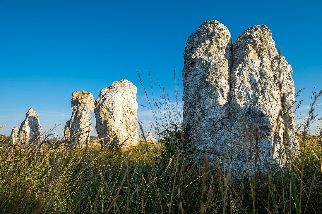 France, Finistere, Armorica Regional Natural Park, Crozon Peninsula, Camaret-sur-Mer, Lagatjar Alignment or Toulinguet megalithic alignment\n