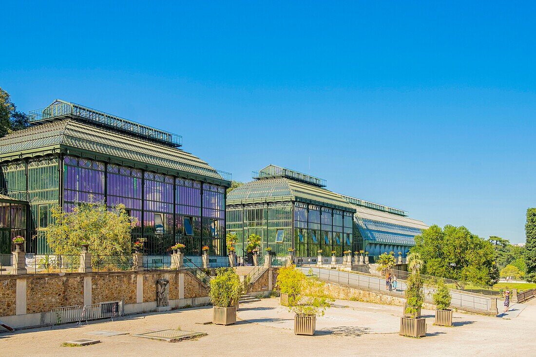 France, Paris, the Jardin des Plantes, greenhouses\n