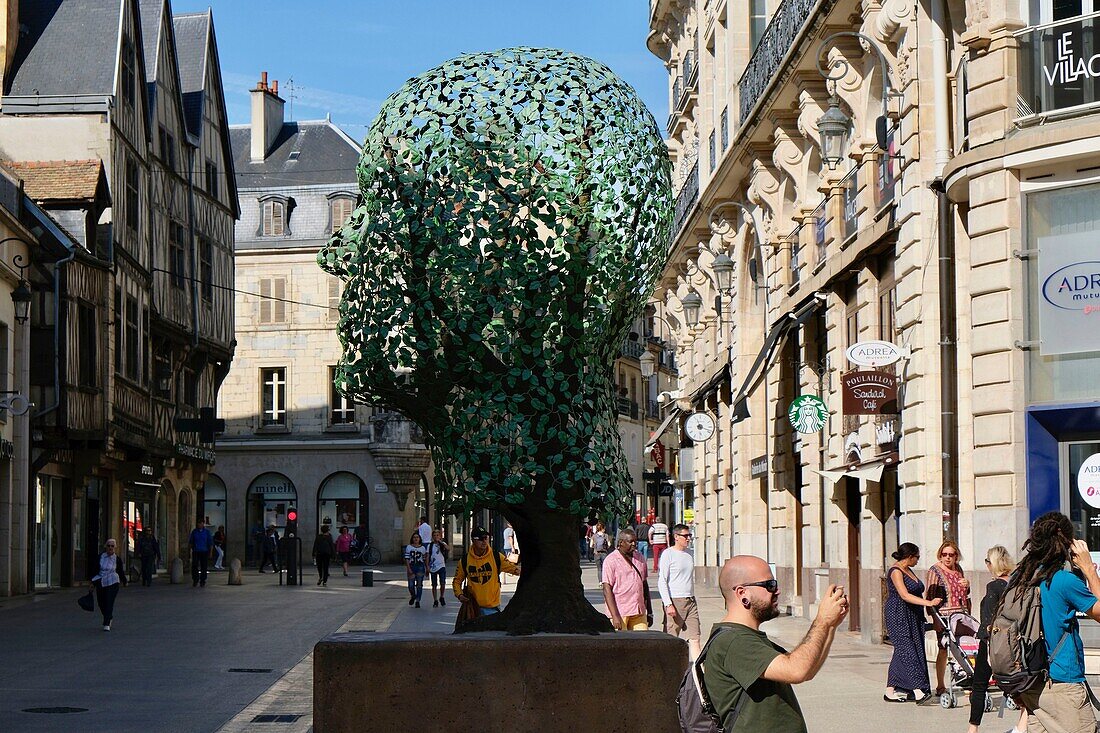 Frankreich, Cote d'Or, Dijon, von der UNESCO zum Weltkulturerbe erklärtes Gebiet, Rue de la Liberte, Skulptur des Gesichtsbaums von Gloria Friedmann