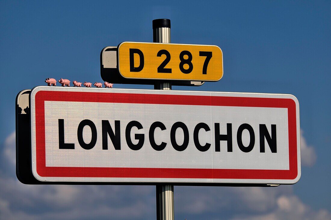 France, Jura, Longcochon, village entrance sign, pigs, toys\n