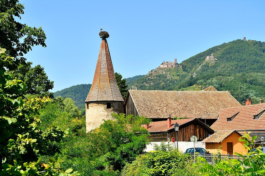 France, Haut Rhin, the Alsace Wine Route, Ribeauville, Stork tower (Tour des Cigognes), in the background St Ulrich Castle and Girsberg Castle\n