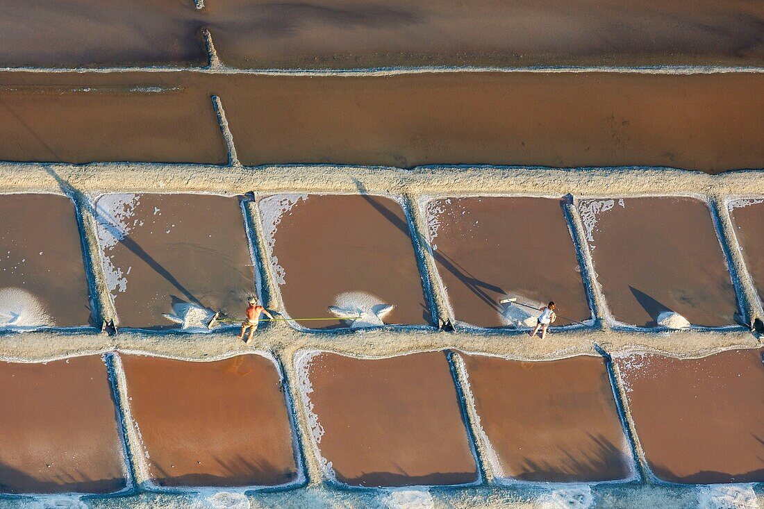 France, Charente Maritime, Ile de Re, Ars en Re, salt worker in the salt marshes (aerial view)\n