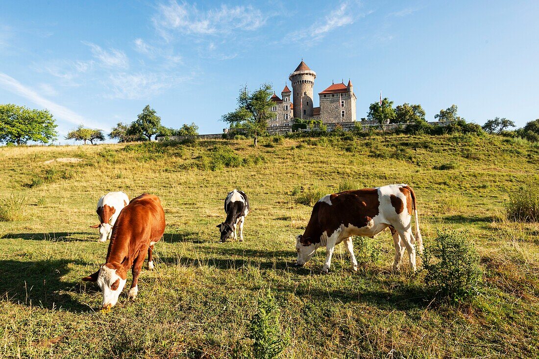 Frankreich, Haute Savoie, Lovagny, Schloss Montrottier (13.-15. Jahrhundert), Florimontane-Akademie