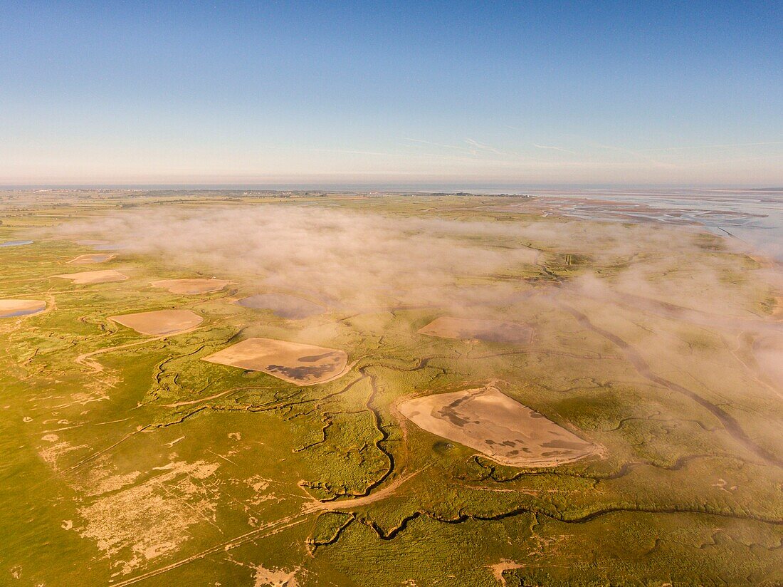 Frankreich, Somme, Somme-Bucht, Saint-Valery-sur-Somme, Kap Hornu und der Kanal der Somme im Morgennebel (Luftaufnahme)