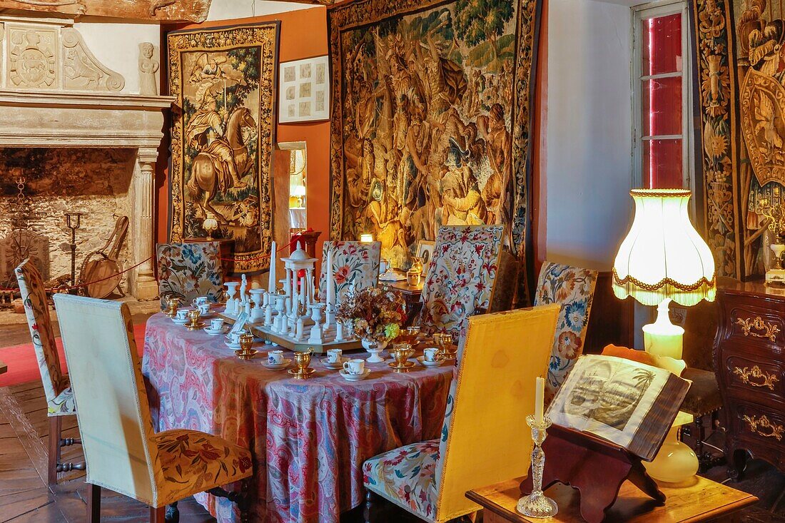 France, Aveyron, Camjac, Bosc Castle, interior view of the castle\n