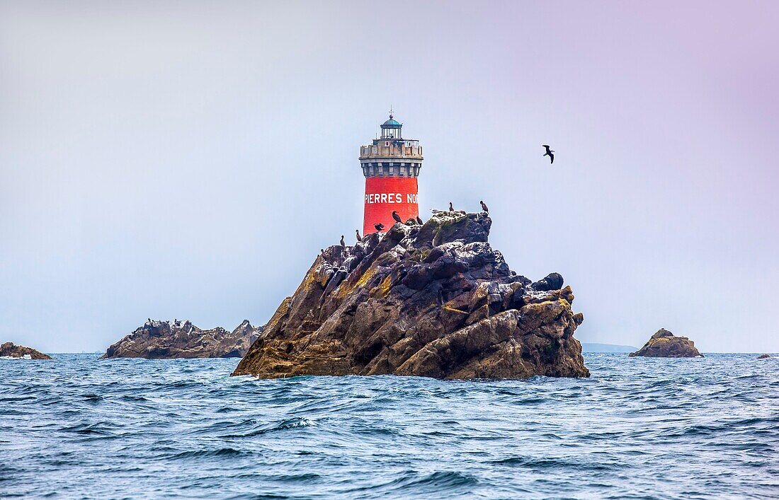 France, Finistere, Le Conquet, the Pierres Noires lighthouse in the Iroise Sea, regional natural park of Armorique\n