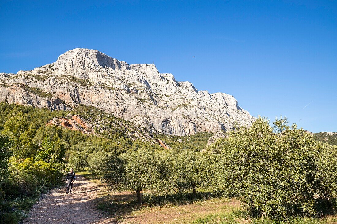 France, Bouches du Rhône, Aix-en-Provence, Grand Site Sainte-Victoire, Beaurecueil, Sainte-Victoire mountain\n