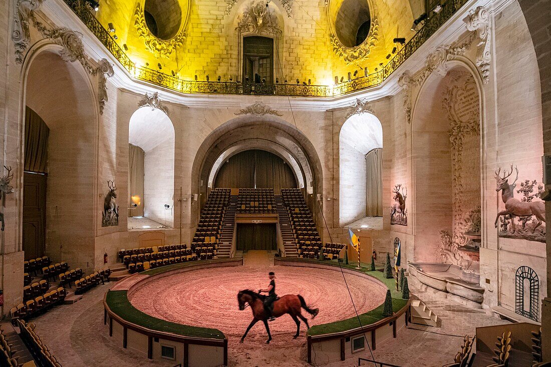 France, Oise, Chantilly, Chantilly Castle, the Great Stables, show of the Tercentenary of the Great Stables: Once upon a time...the Great Stables, Sophie Bienaimé, relaxes his horse in the theater\n