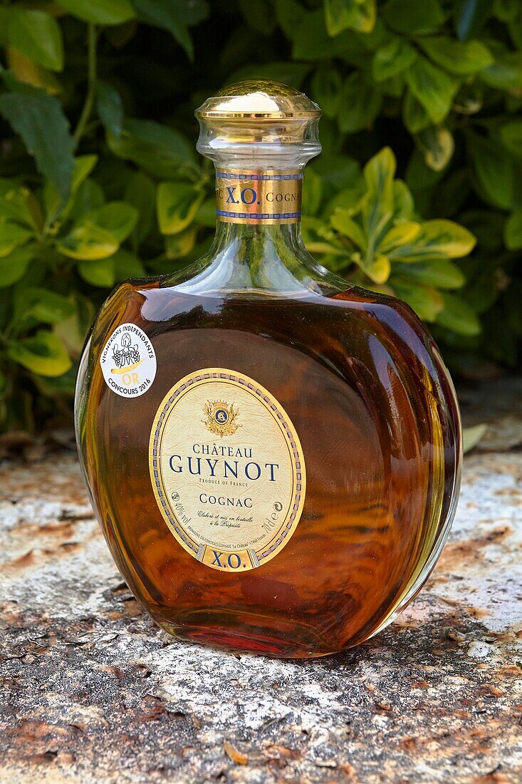 France, Charente Maritime, Tesson, Chateau Guynot winery, Bottle of Cognac\n