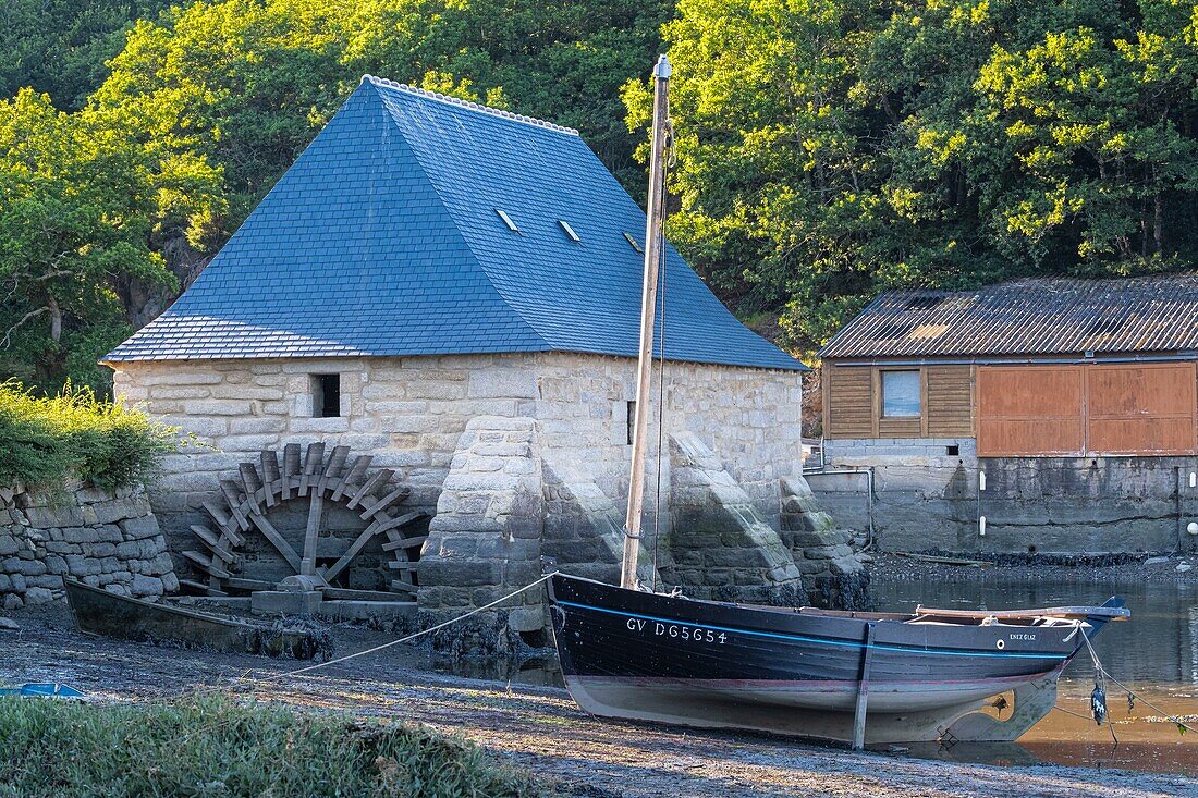 Frankreich, Finistere, Aven-Land, Nevez, Gezeitenmühle von Henan (15. Jahrhundert) am Ufer des Flusses Aven