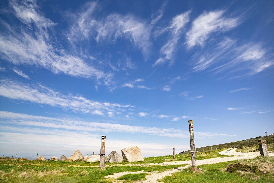 France, Puy de Dome, Saint Pierre la Bourlhonne, Natural regional park of Livradois Forez, Forez mountains, Pierre sur Haute, Hautes Chaumes\n