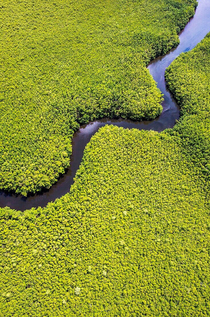 France, Caribbean, Lesser Antilles, Guadeloupe, Grand Cul-de-Sac Marin, heart of the Guadeloupe National Park, Grande-Terre, Morne-à-l'Eau, Canal Cove, aerial view on the widest mangrove belt of the Lesser Antilles, Biosphere Reserve of Guadeloupe, here the Canal des Rotours, dug over nearly 6 km at the beginning of the 19th century (1826-1830) by hand of Men, slaves, to allow the drainage of the plain\n