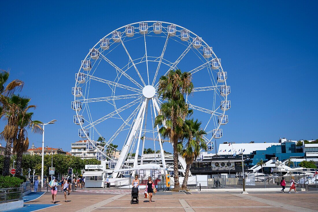 France, Alpes-Maritimes , Cannes, big wheel and Suquet district\n