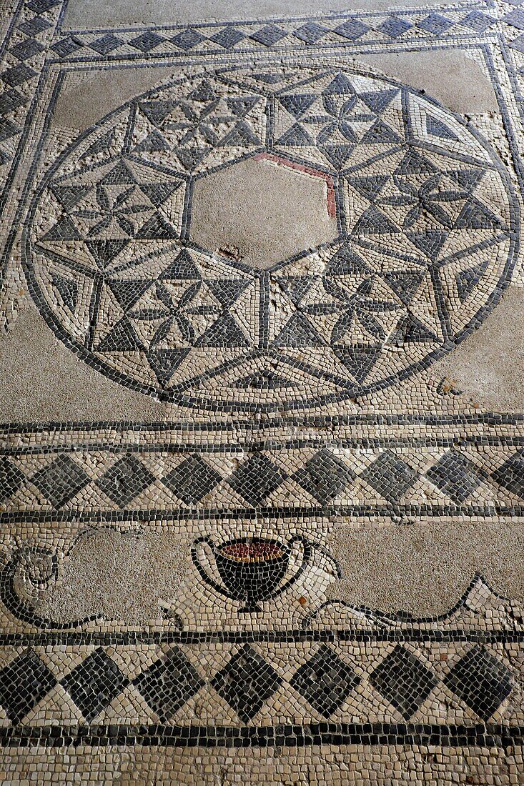 France, Vaucluse, Vaison la Romaine, archaeological site of La Villasse, Wildlife house, mosaic\n