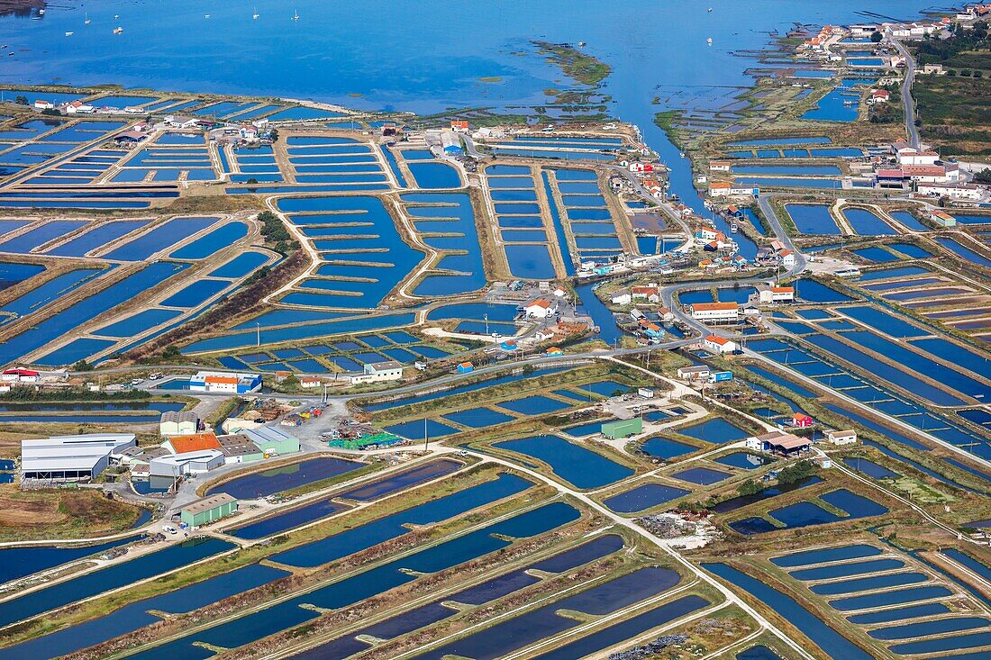 France, Charente Maritime, Bourcefranc le Chapus, oysters farms on Daire channel (aerial view)\n