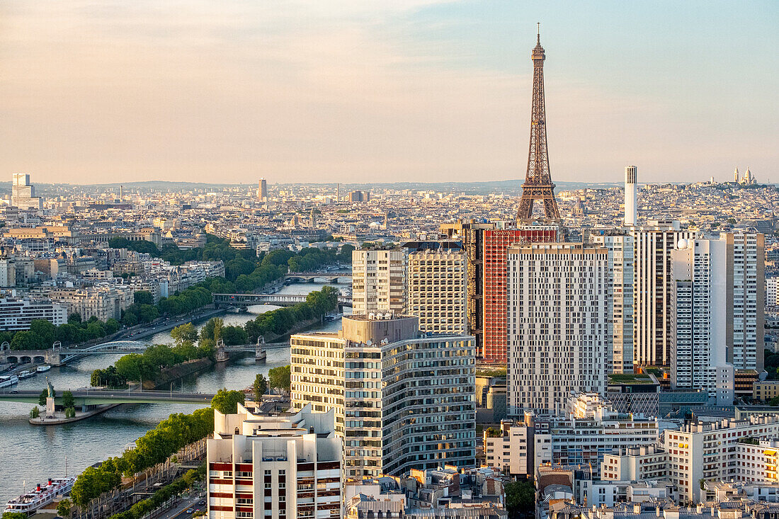 France, Paris, the buildings of the Front de Seine and the Eiffel Tower (aerial view)\n