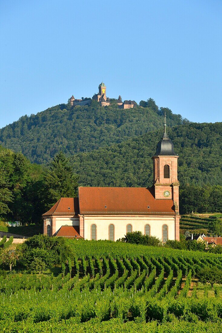 France, Haut Rhin, Alsace Wine Road, St HIppolyte church and Haut Koenigsbourg castle\n