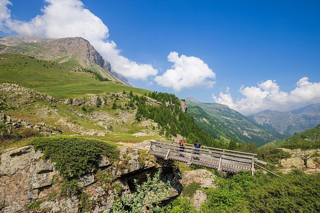 France, Hautes Alpes, Ecrins National Park, Champsaur, Drac Noir valley, Prapic, footbridge on the Drac Noir at Saut du Laire\n