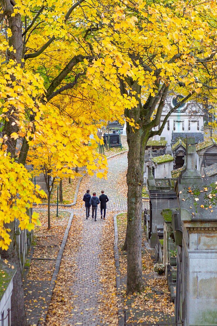 France, Paris, the Pere Lachaise cemetery in autumn\n