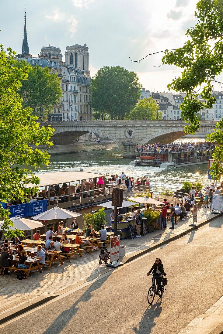 Frankreich, Paris, von der UNESCO zum Weltkulturerbe erklärtes Gebiet, Park Rives de Seine und Kathedrale Notre Dame