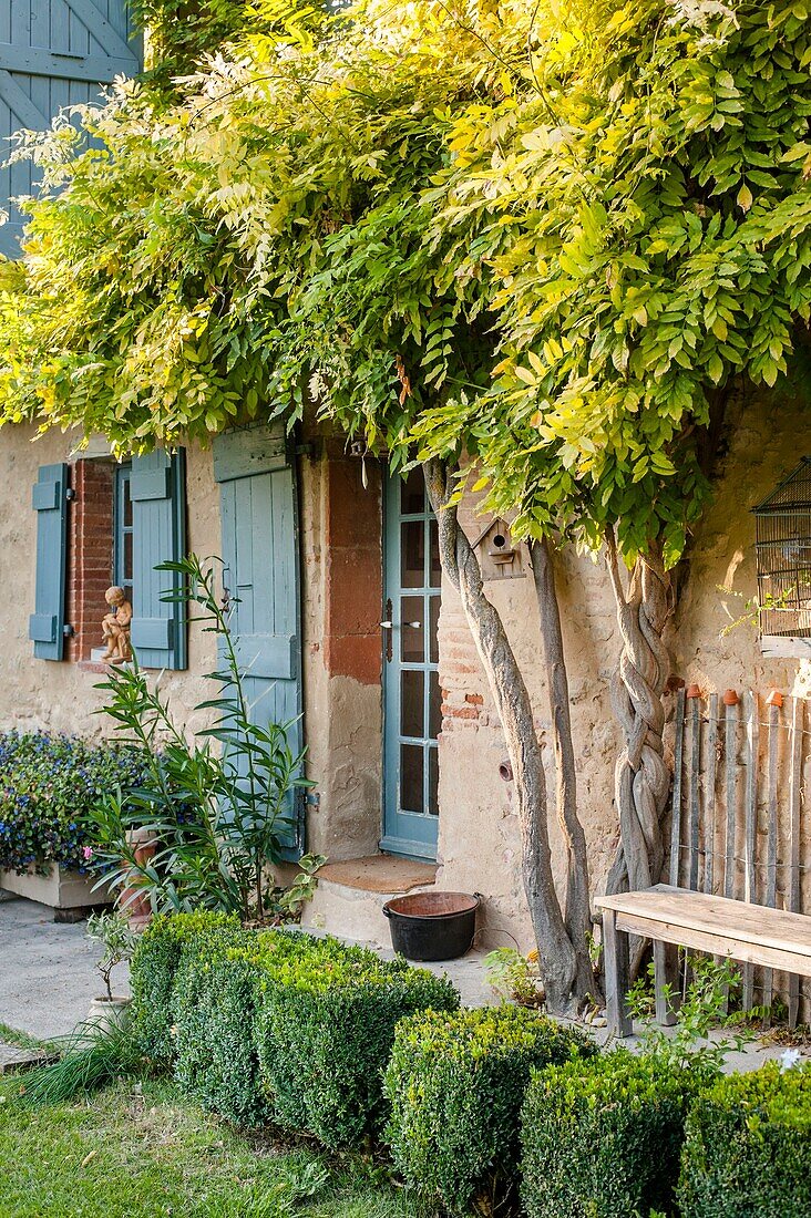 France, Haute-Garonne, Loubens-Lauragais, story :  Charming and autantic 16th century farmhouse \n