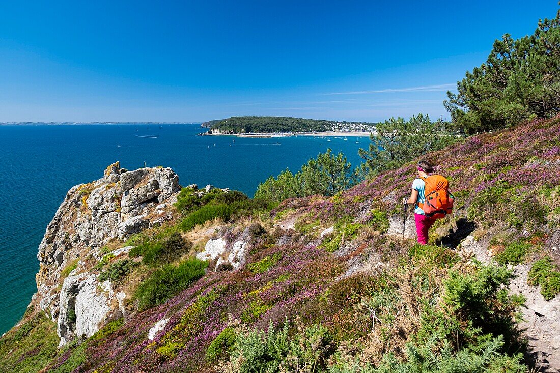 France, Finistere, Armorica Regional Natural Park, Crozon Peninsula, on the GR 34 hiking trail or customs trail, Morgat in the background\n