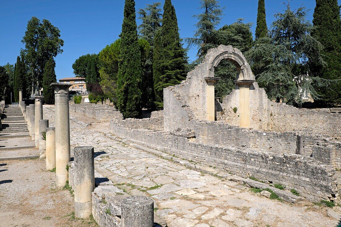 France, Vaucluse, Vaison la Romaine, archaeological site of La Villasse, street of the shops, columns, the forum\n